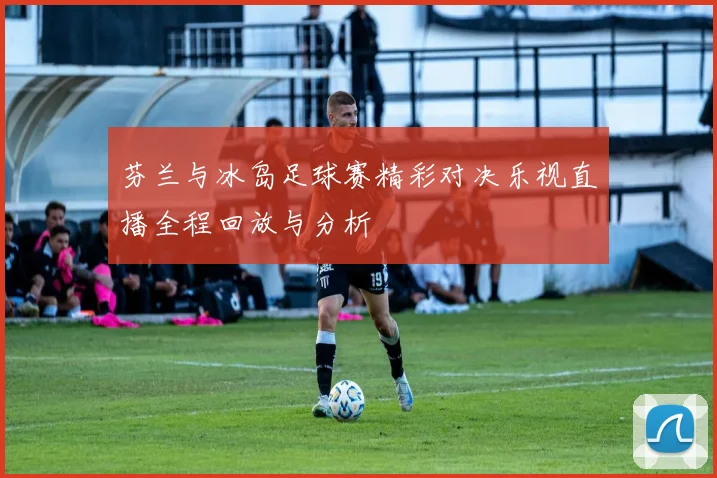 芬兰与冰岛足球赛精彩对决乐视直播全程回放与分析